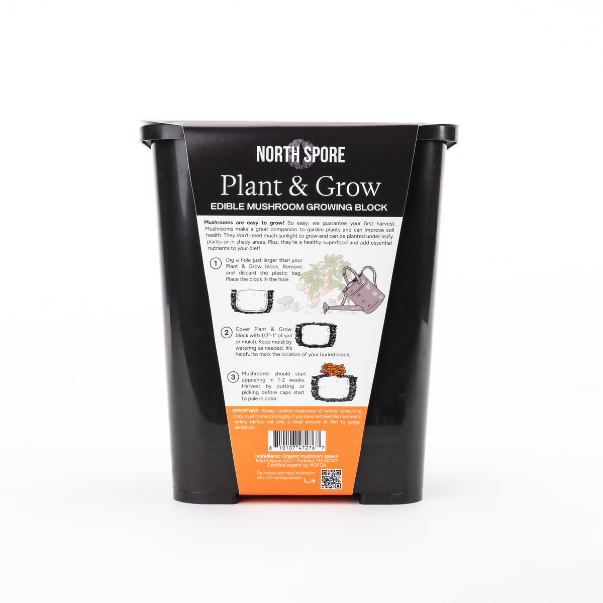 Wholesale | Pink Oyster Retail Plant & Grow Kit - 6 Pack