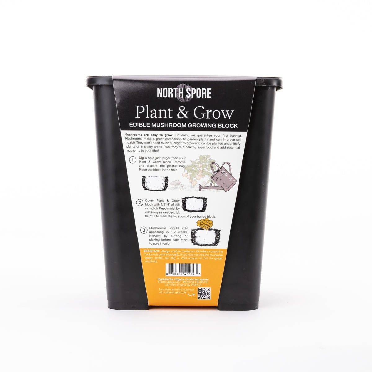 Wholesale | Chestnut Retail Plant & Grow Kit - 6 Pack
