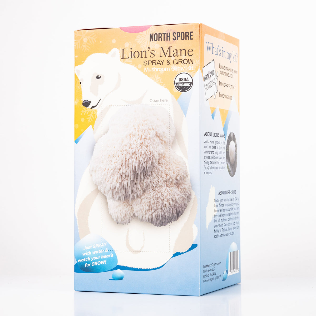 Wholesale | Holiday 24 pc. 'Spray & Grow' Kits + Floor Display