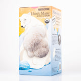 Image thumbnail: Wholesale | Holiday 24 pc. 'Spray & Grow' Kits + Floor Display