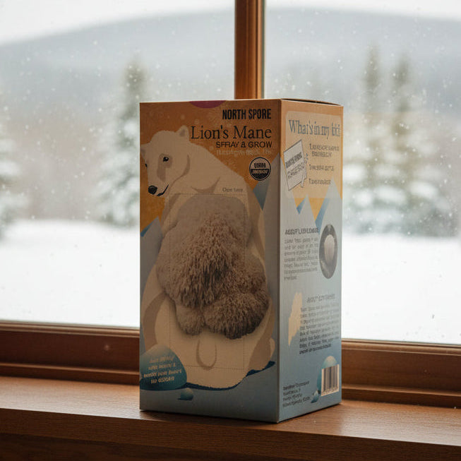 Wholesale | Case Polar Bear Lion's Mane ‘Spray & Grow’ Kits