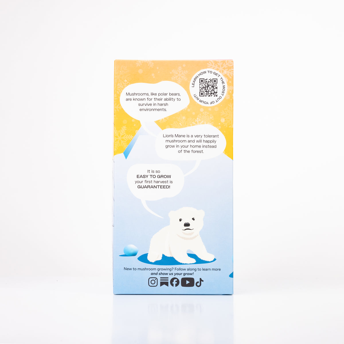 Wholesale | Case Polar Bear Lion's Mane ‘Spray & Grow’ Kits