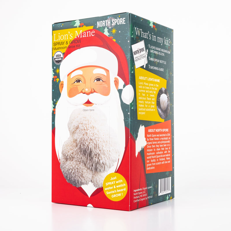 Wholesale | Holiday 24 pc. 'Spray & Grow' Kits + Floor Display