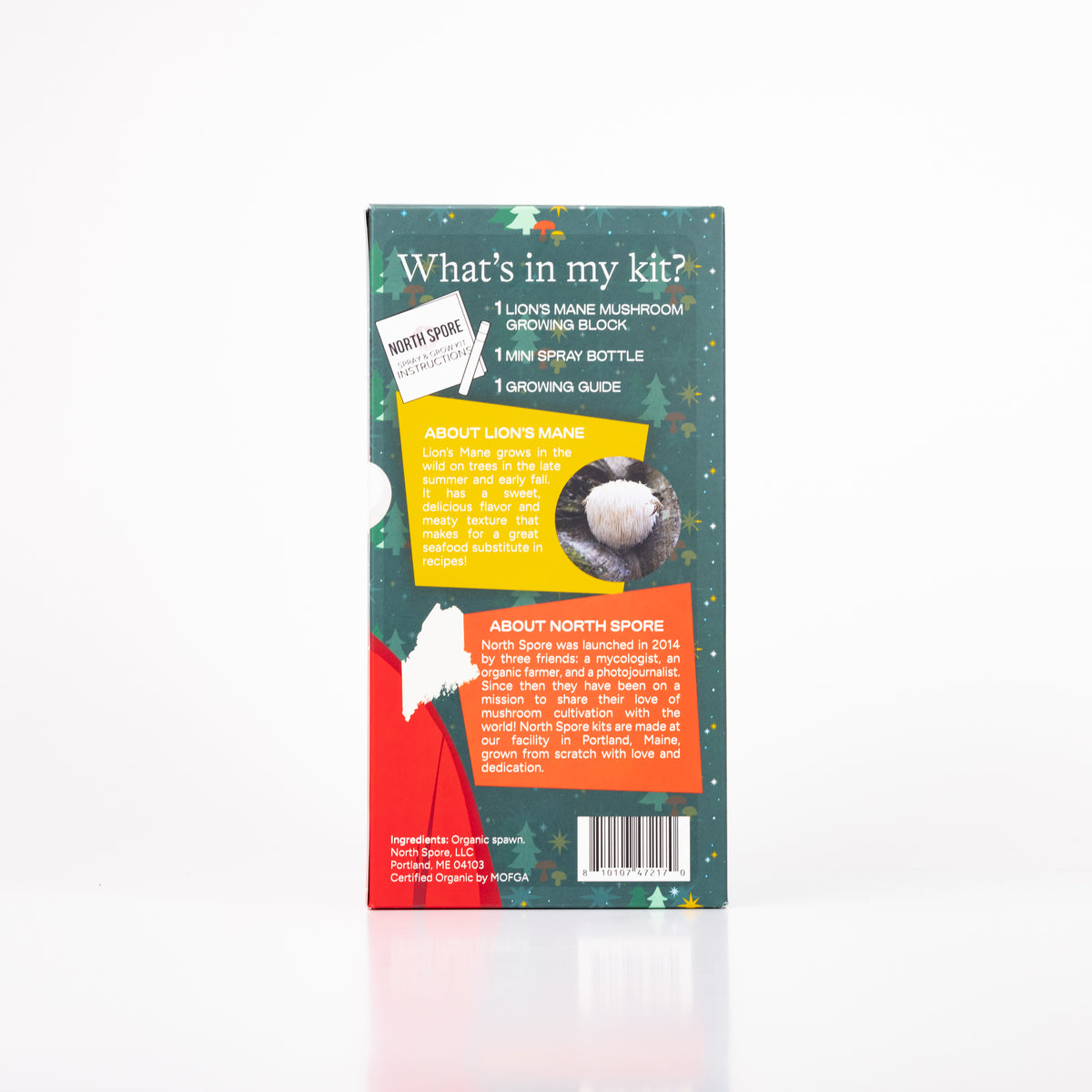 Wholesale | Case Santa Lion's Mane ‘Spray & Grow’ Kits