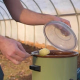 Image thumbnail: Wholesale | Log Sealing Wax (1 lb)