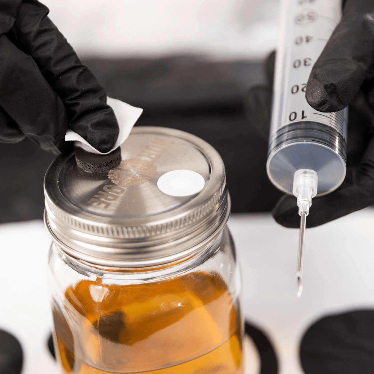 Wholesale | Liquid Culture Kit