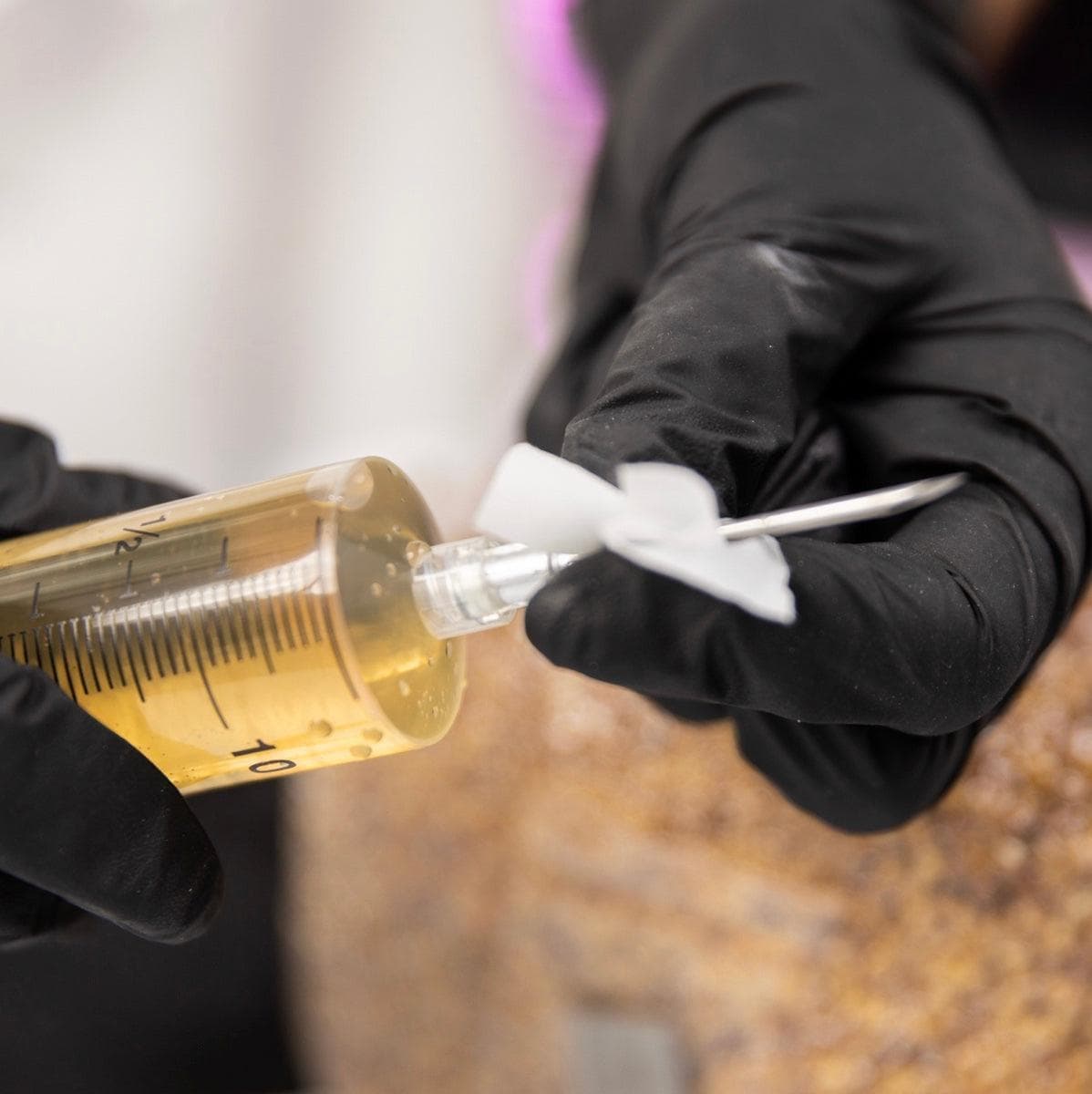 Wholesale | Liquid Culture Kit