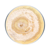 Image thumbnail: Wholesale | Organic Polyurethane Degrading Liquid Culture Syringe