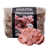 Image thumbnail: Wholesale | 8pc. Organic Pink Oyster Mushroom Sawdust Spawn