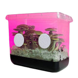 Image thumbnail: Wholesale | 2