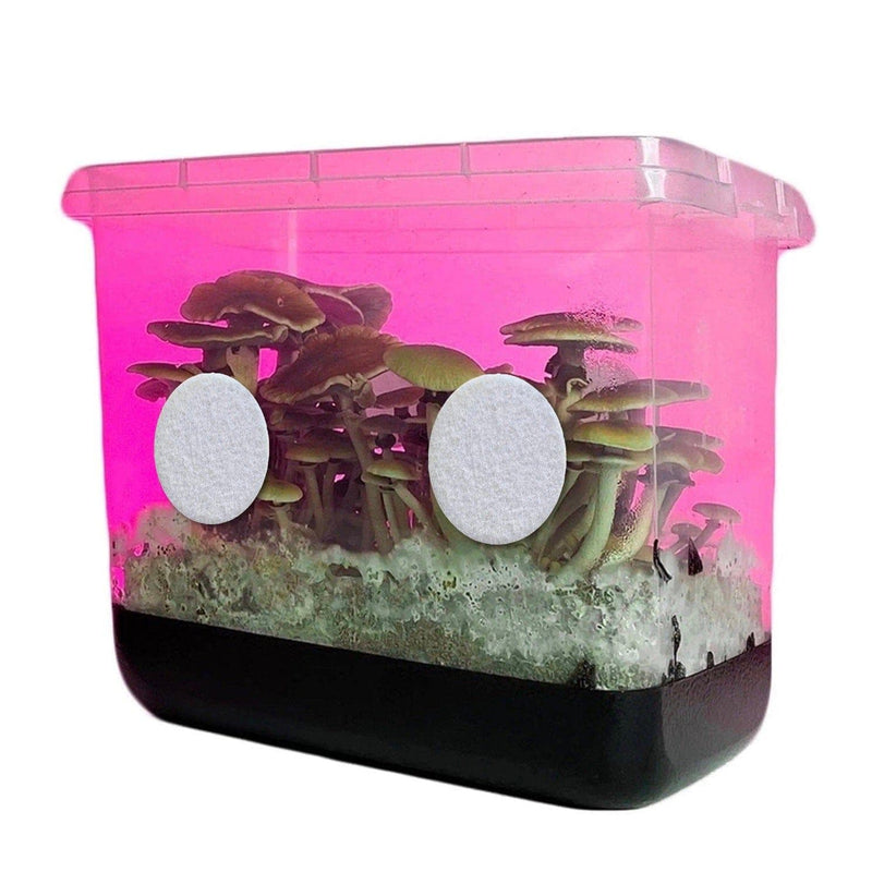 Wholesale | 3" Recycled Monotub Filters (4 ct)