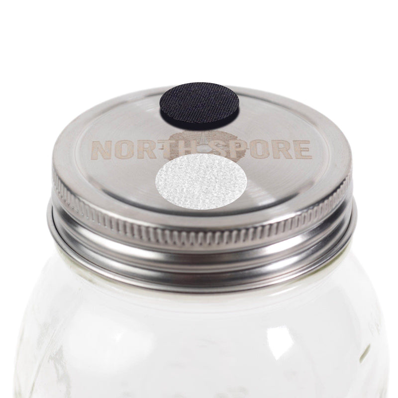 Wholesale | 6 pc. 'Regular Mouth' Culture Jar Lid with Port & Filter
