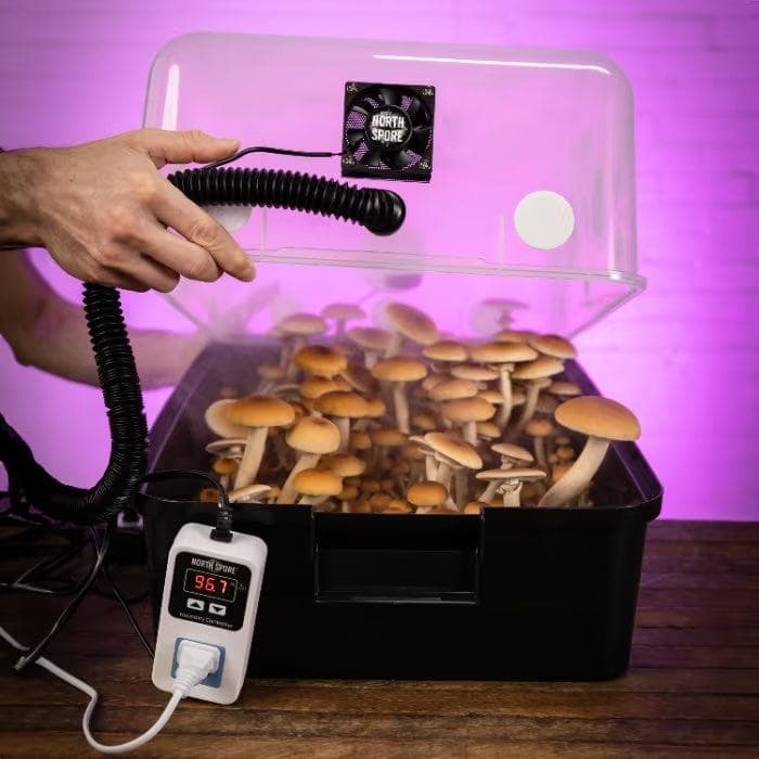 Wholesale | Automated 'Boomr Bin' Monotub Mushroom Grow Kit