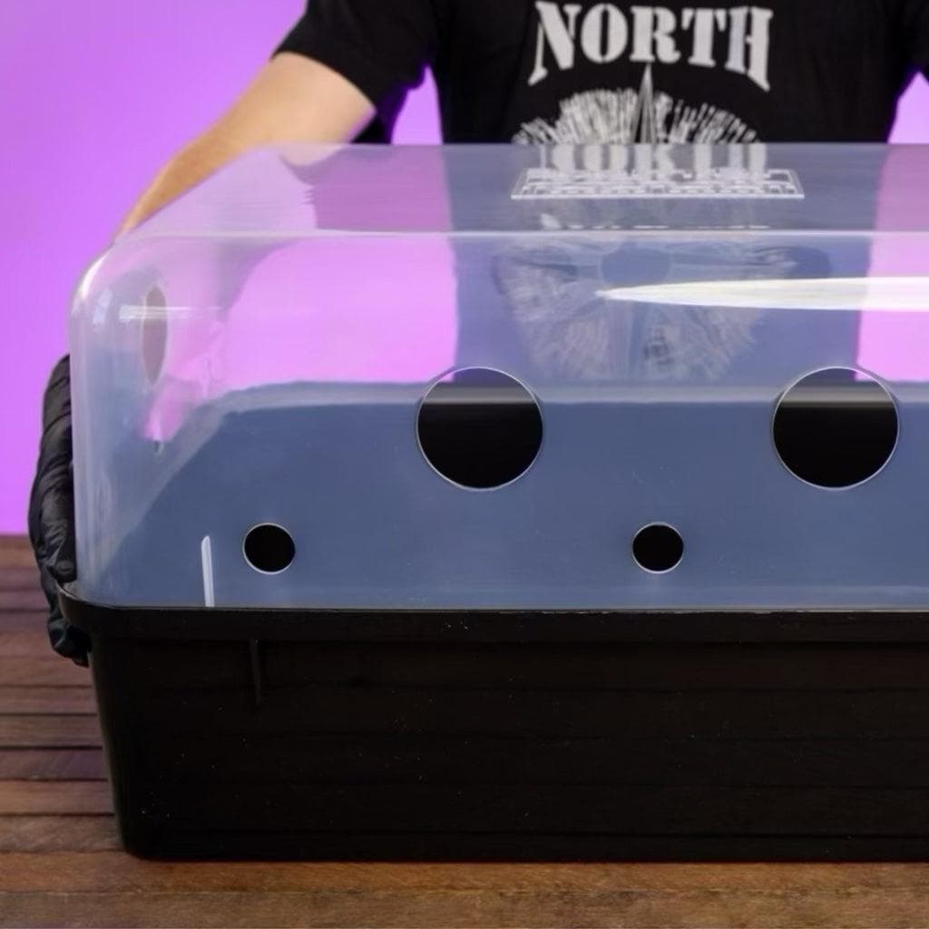 Wholesale | 'Boomr Bin' Wood-Loving Monotub Mushroom Grow Kit