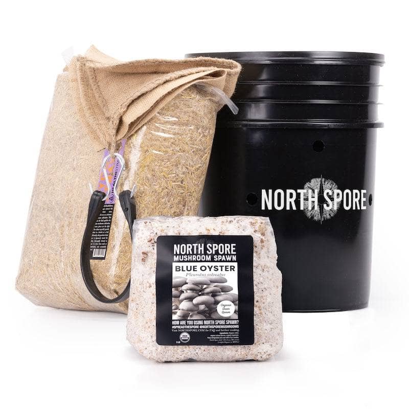 Wholesale | 'MushBucket' Mushroom Bucket Grow Kit