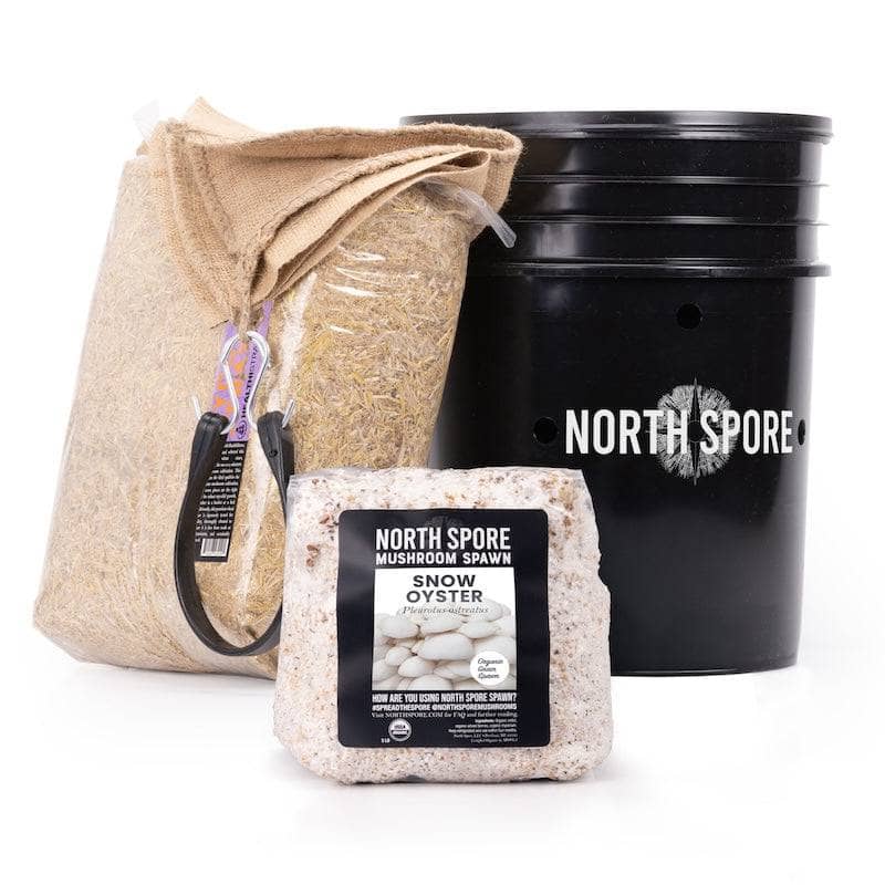 Wholesale | 'MushBucket' Mushroom Bucket Grow Kit