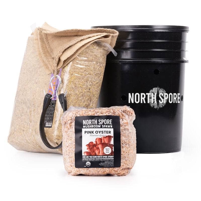 Wholesale | 'MushBucket' Mushroom Bucket Grow Kit