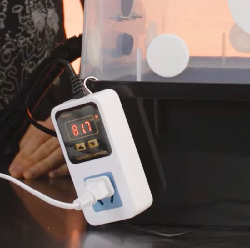 Wholesale | MYCOntroller Humidity Controller (Humidistat)