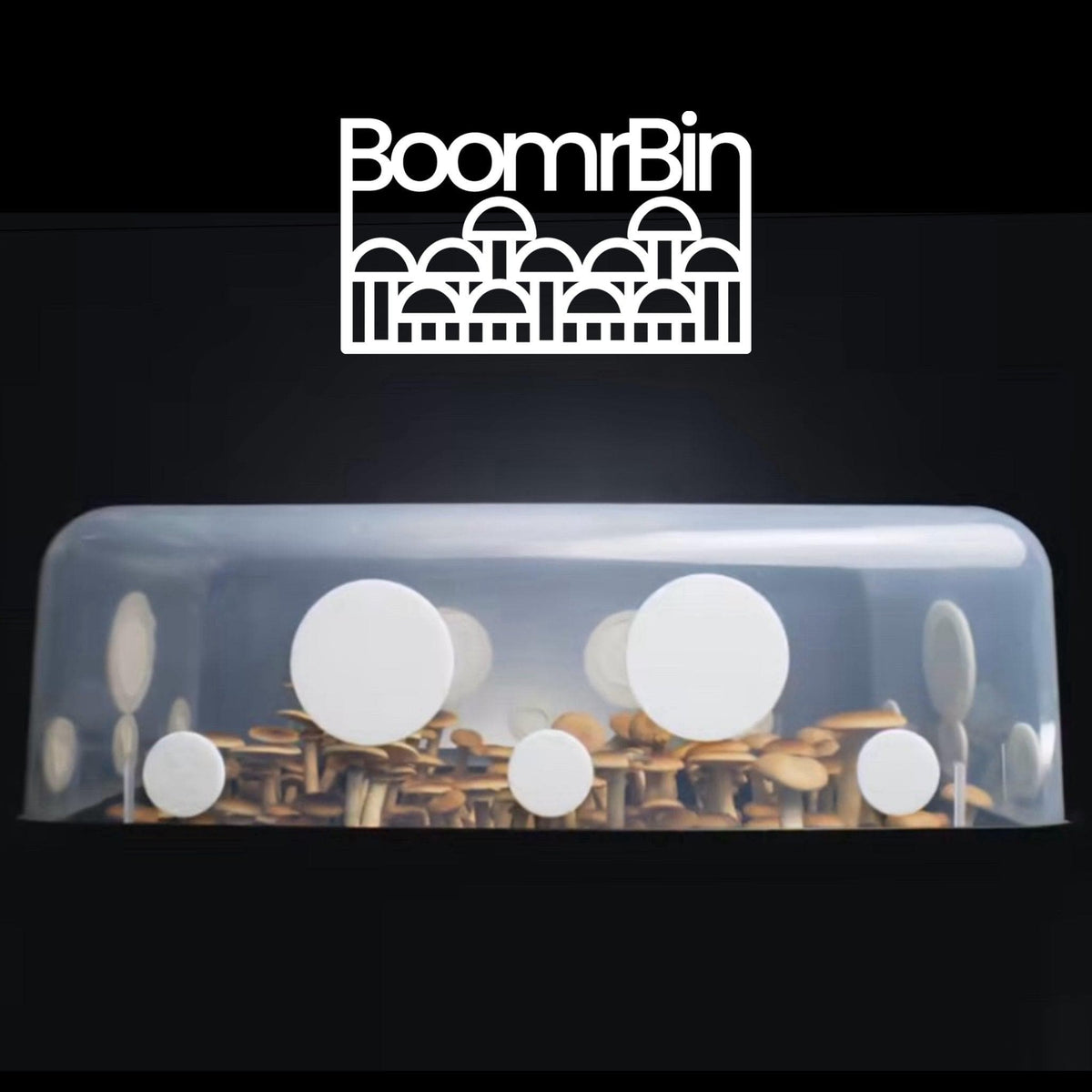 Wholesale | Boomr Bin Mushroom Monotub Kit + Filters
