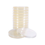 Image thumbnail: Cultivation Equipment Agar Petri Dish