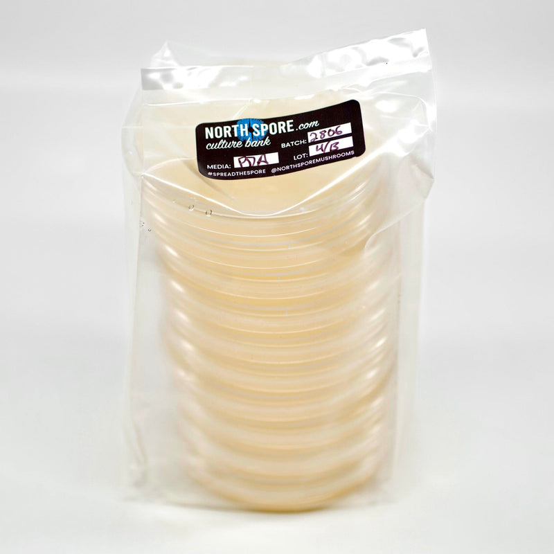 A pack of 10 pre-poured agar petri dishes