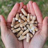 Image thumbnail: Log Kit Shiitake Mushroom Outdoor Log Growing Kit