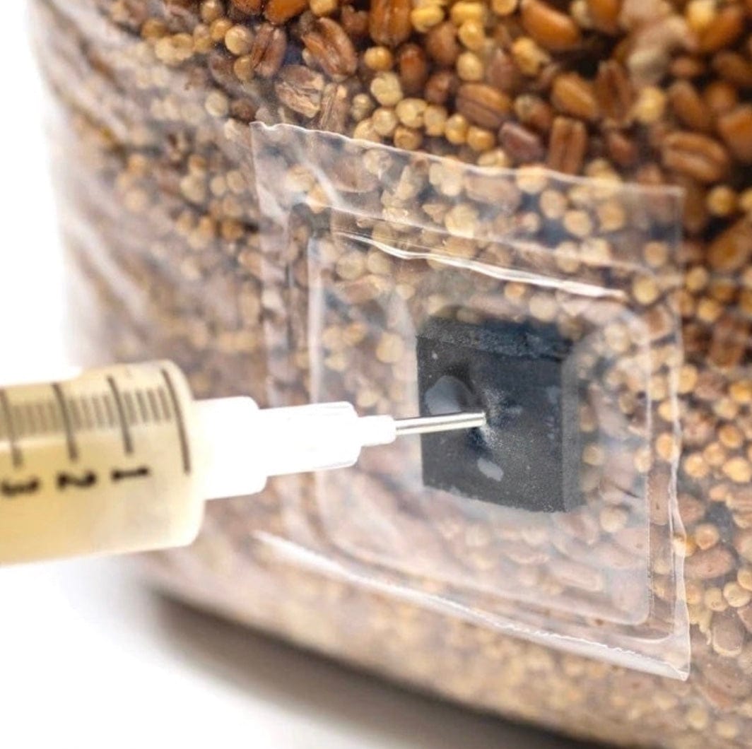 Retail Organic Sterilized Grain Bags | Wholesale