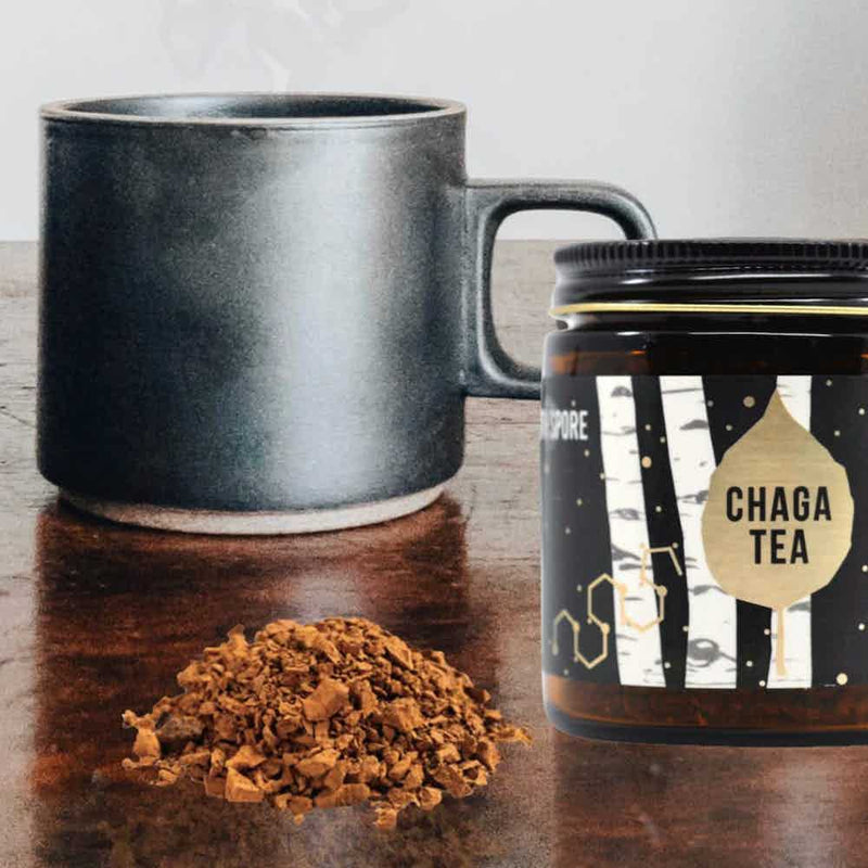 Retail Wild Chaga Mushroom Tea | Wholesale