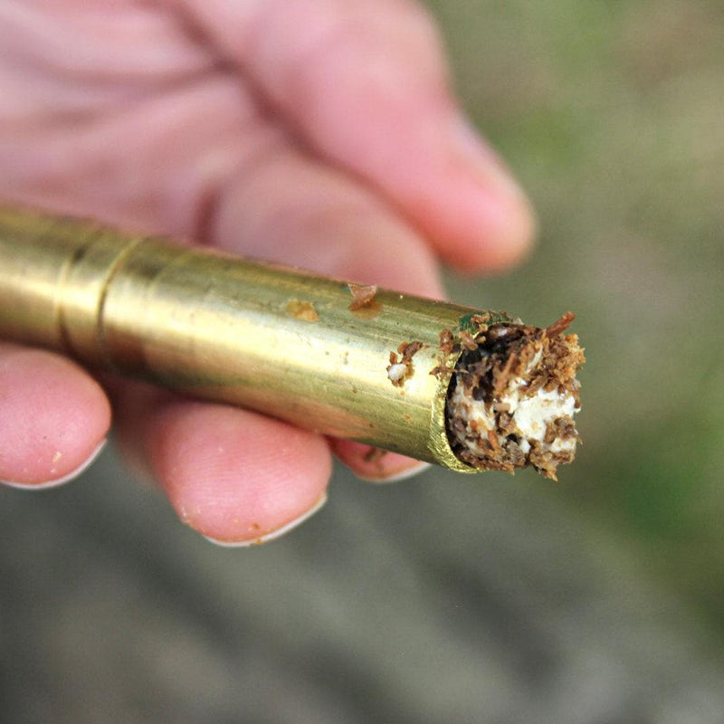 Sawdust Spawn Nameko Mushroom Sawdust Spawn