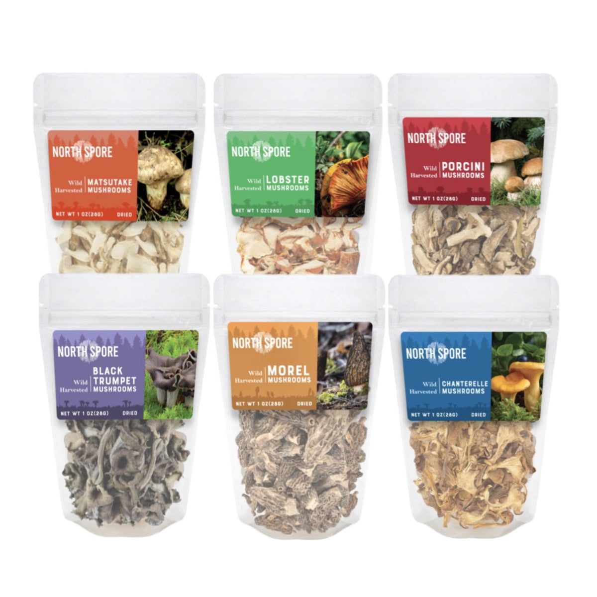 Wholesale | 12 Pack Dried Mushrooms (2 of each)