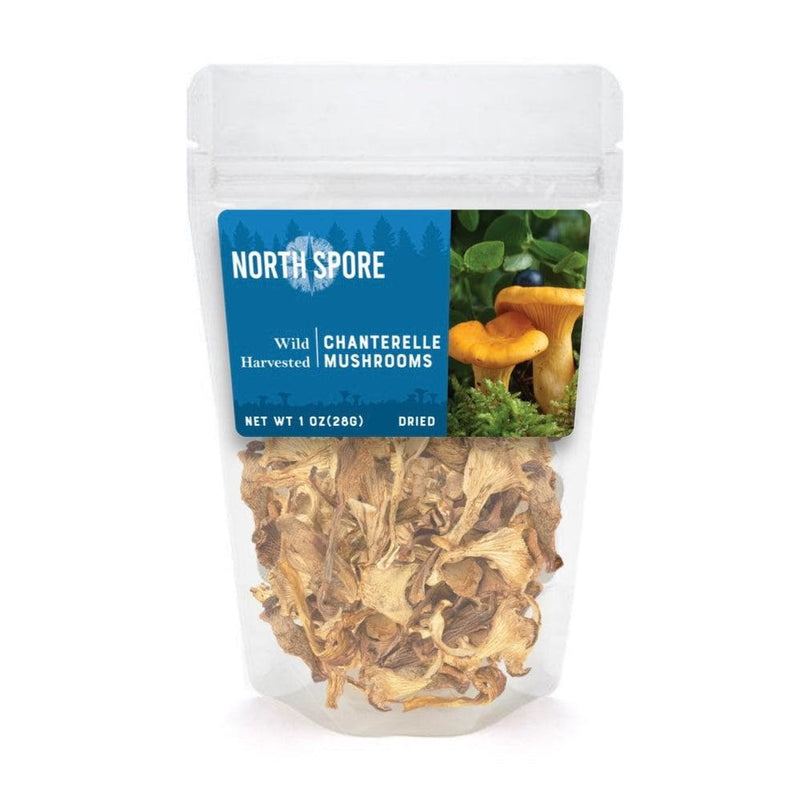 Wholesale | Dried Chanterelle Mushrooms