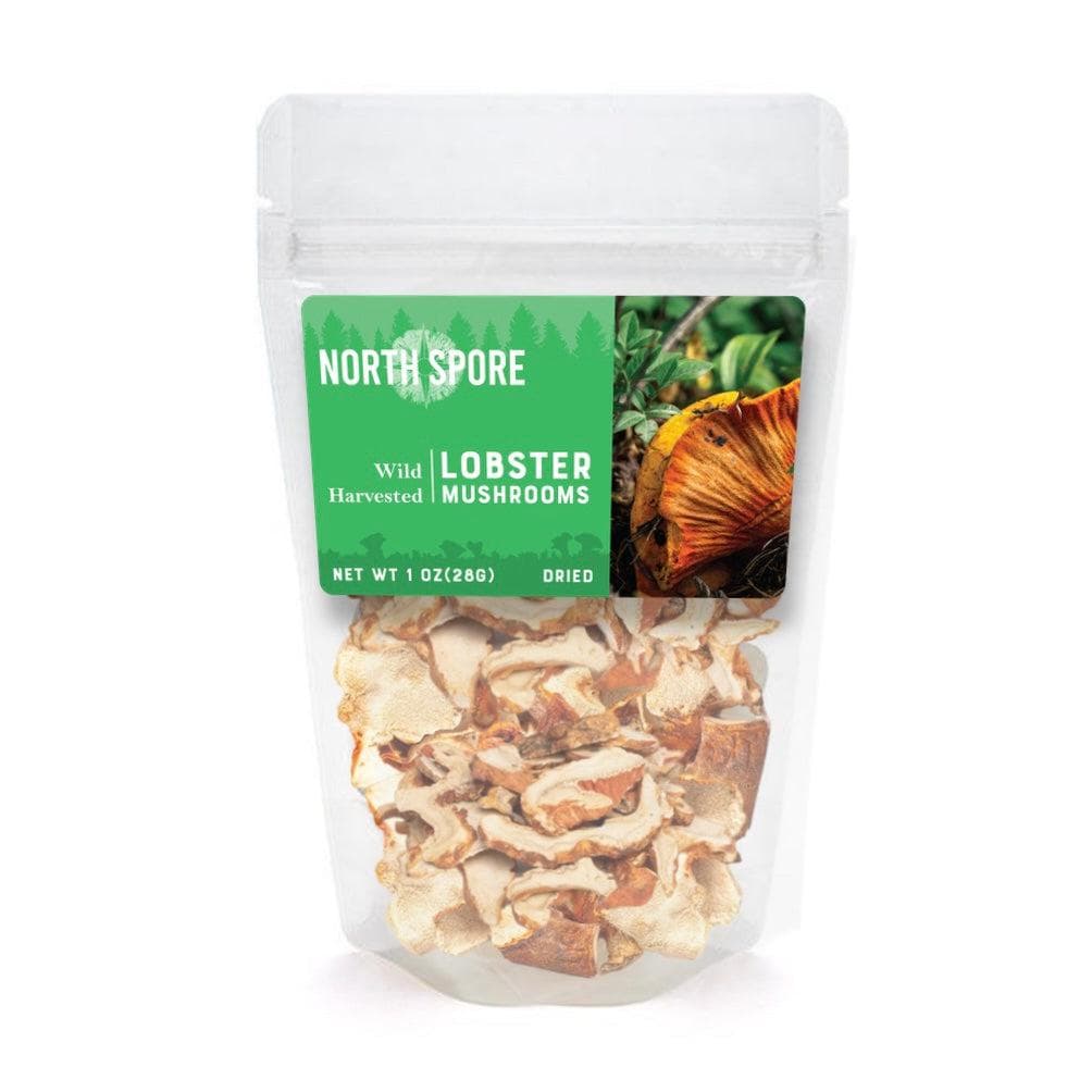 Wholesale | Dried Lobster Mushrooms