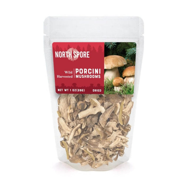 Wholesale | Dried Porcini Mushrooms