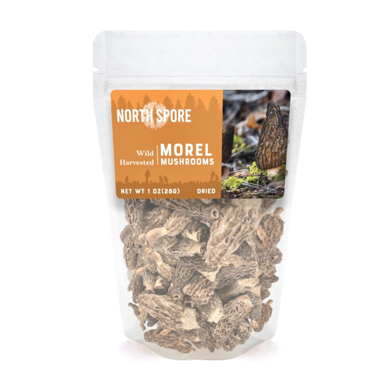 Wholesale | Dried Morel Mushrooms