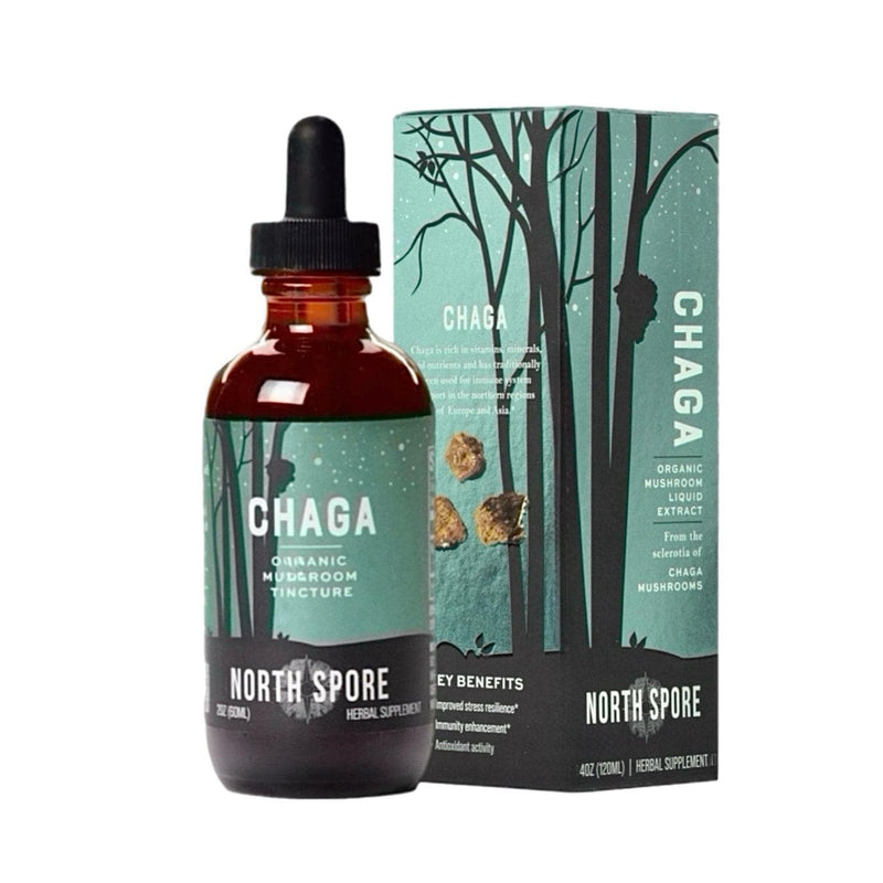 Wholesale | Organic Chaga Mushroom Extract Tincture