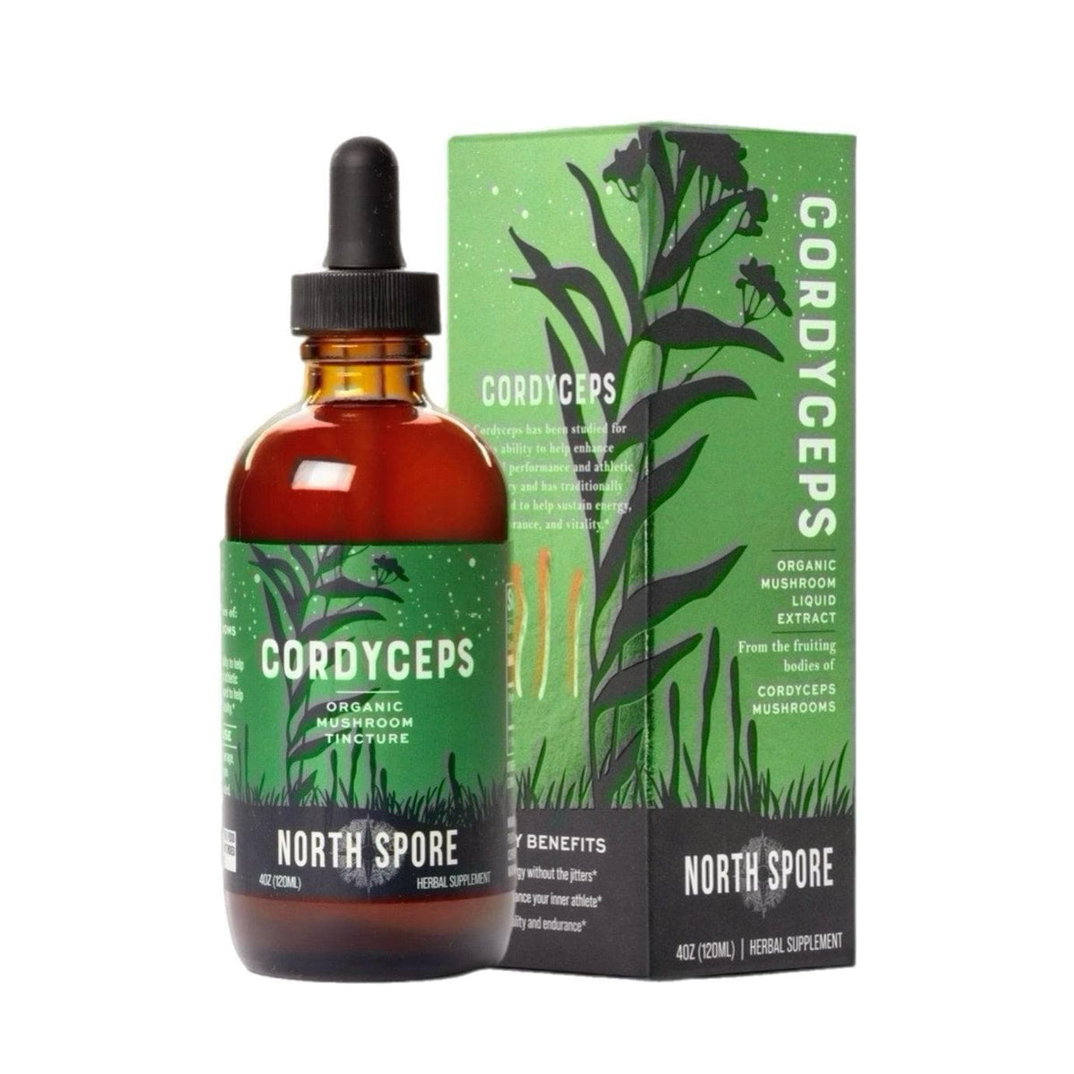 Wholesale | Organic Cordyceps Mushroom Extract Tincture