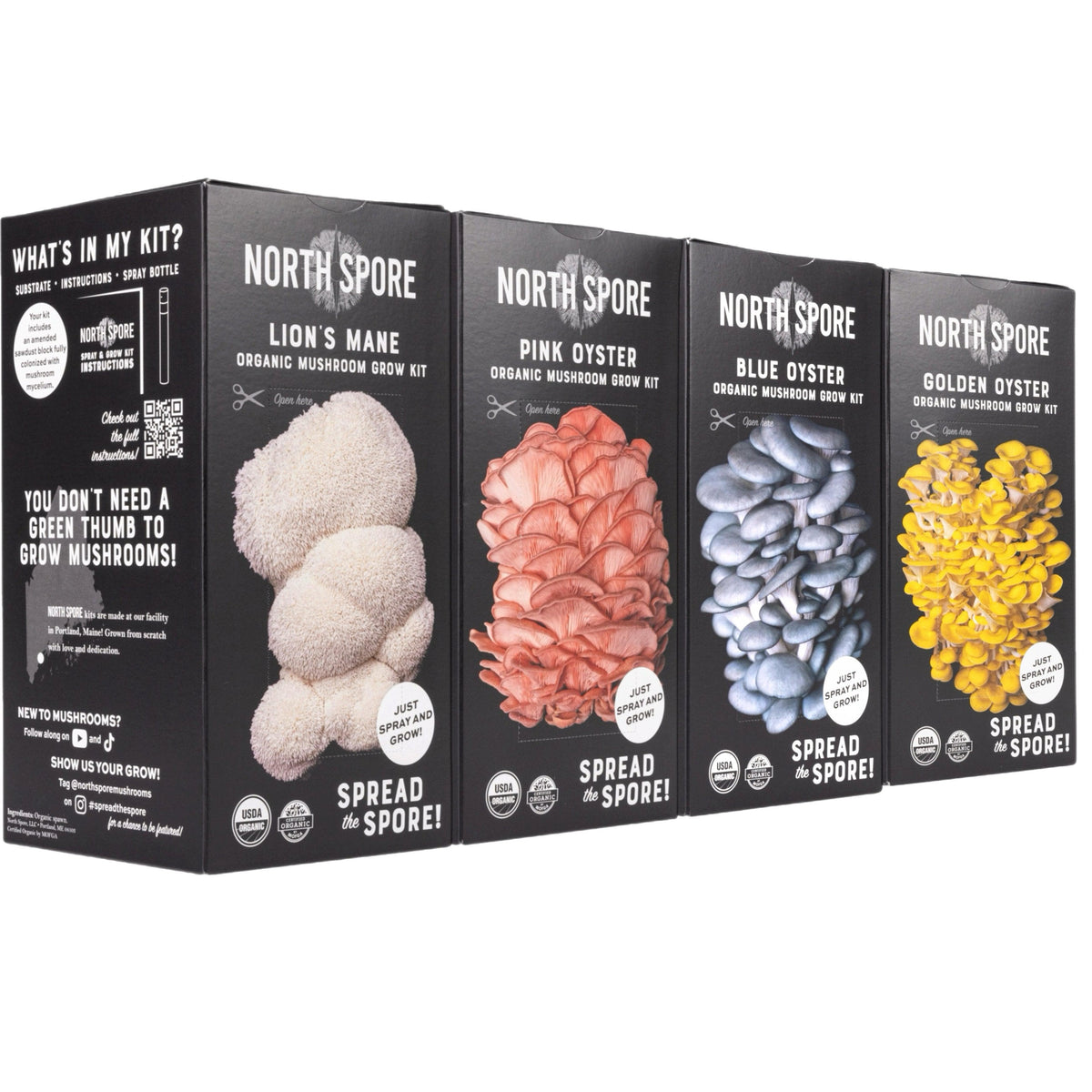 Wholesale | 16 pc. Mixed Organic 'Spray & Grow' Mushroom Kits