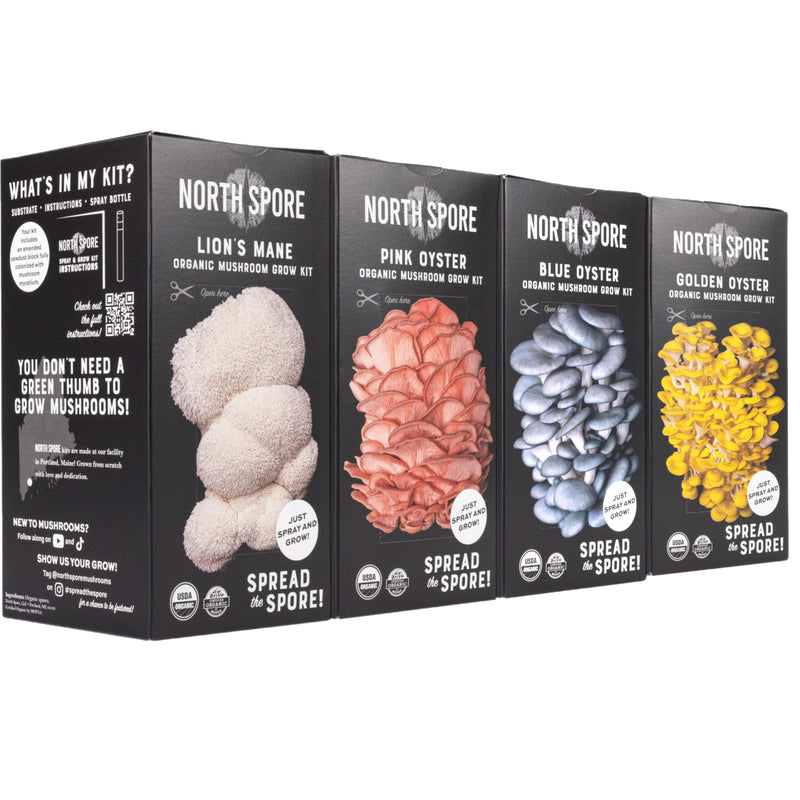 Wholesale | 16 pc. Mixed Organic 'Spray & Grow' Mushroom Kits
