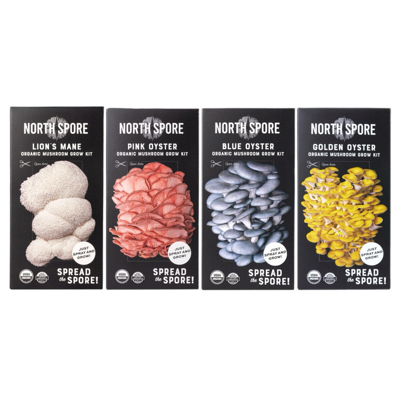 Wholesale | 16 pc. Mixed Organic 'Spray & Grow' Mushroom Kits