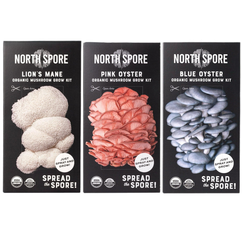 Wholesale | 16 pc. Mixed Organic 'Spray & Grow' Mushroom Kits
