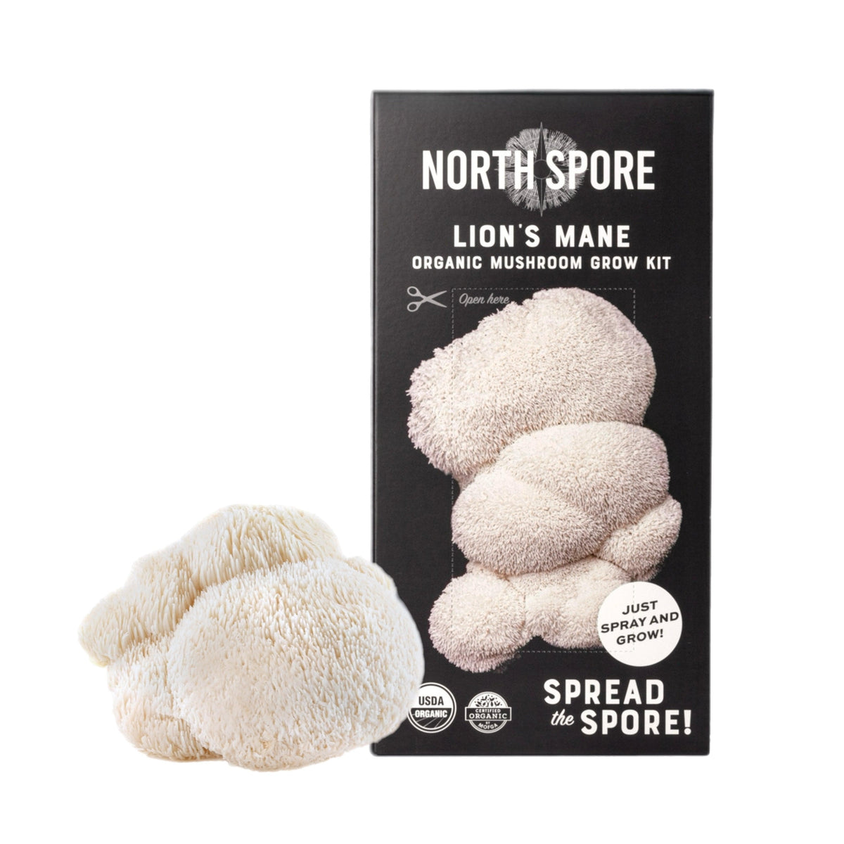 Wholesale | 16 pc. Mixed Organic 'Spray & Grow' Mushroom Kits