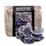 Image thumbnail: Wholesale | 8pc. Organic Blue Oyster Mushroom Sawdust Spawn