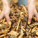 Image thumbnail: Wholesale | 8pc. Organic Blue Oyster Mushroom Sawdust Spawn