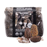 Image thumbnail: Wholesale | 8pc. Organic Morel Mushroom Sawdust Spawn
