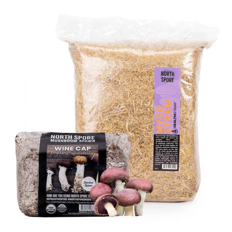 Wholesale | Wine Cap Garden Bed Kit
