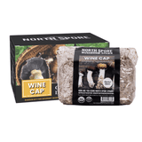 Image thumbnail: Wholesale | Wine Cap Retail Garden Bed Kit