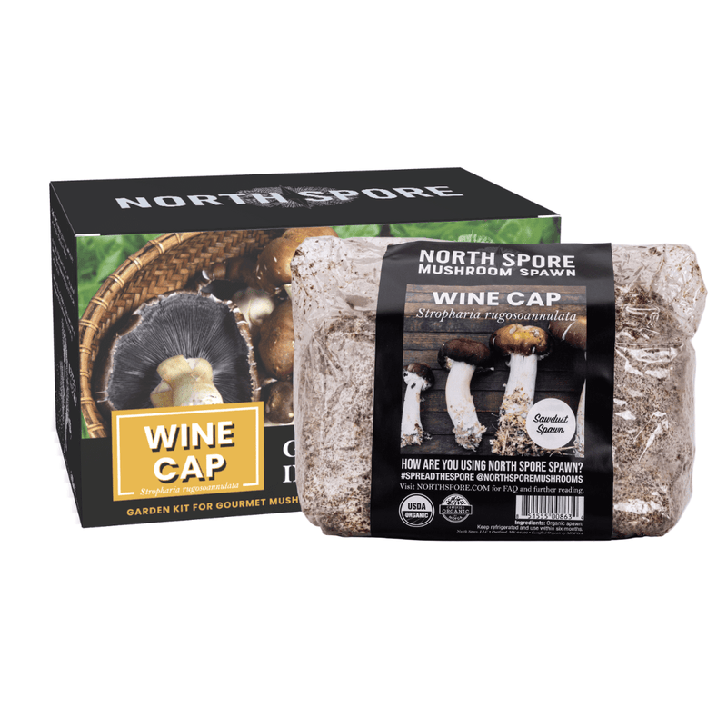 Wholesale | Wine Cap Retail Garden Bed Kit