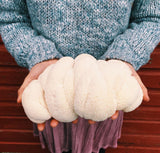 Image thumbnail: Wholesale | Case Polar Bear Lion's Mane ‘Spray & Grow’ Kits