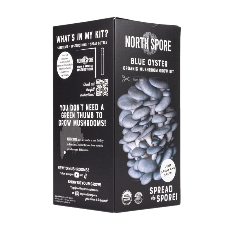 Wholesale | Organic Blue Oyster ‘Spray & Grow’ Kits