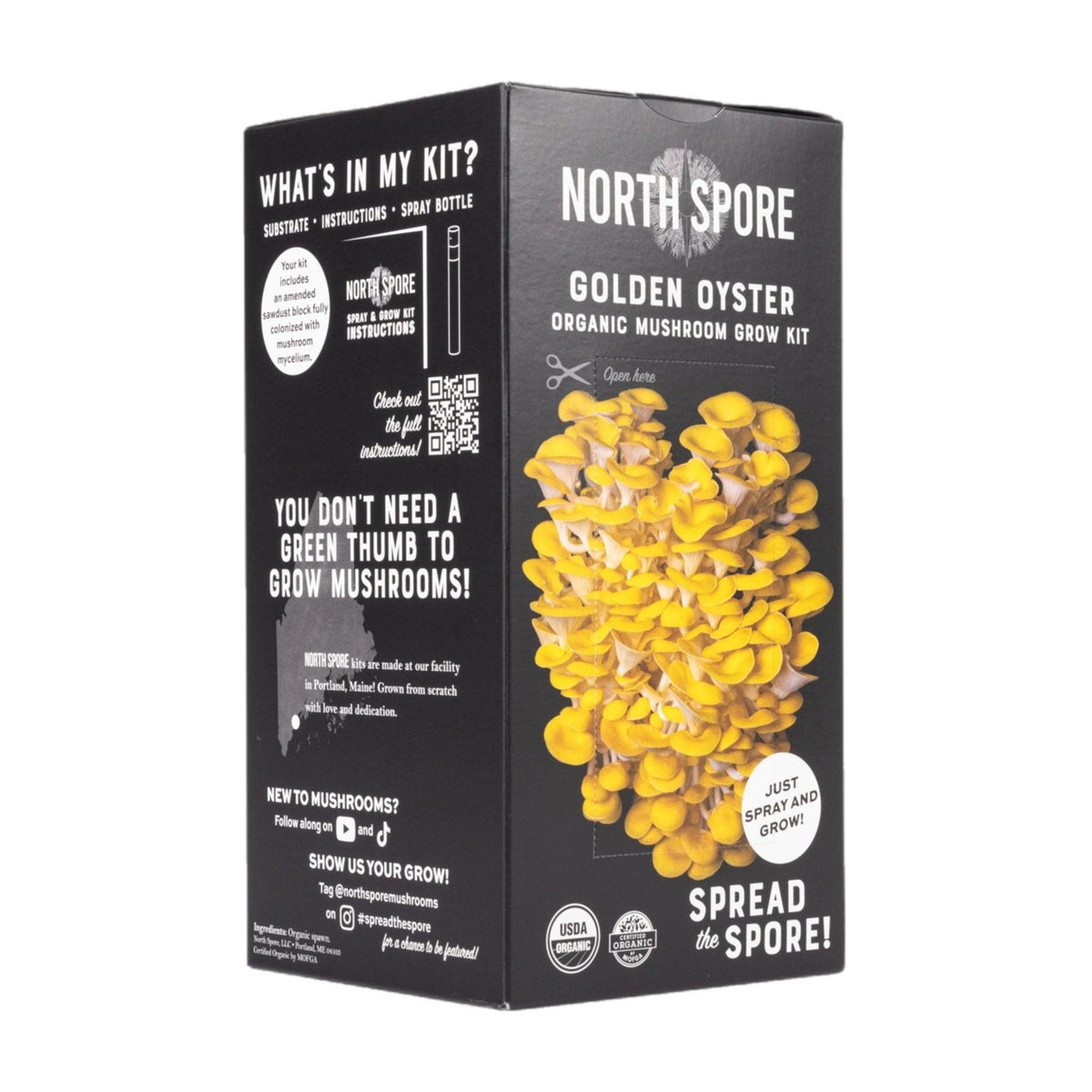 Wholesale | Organic Golden Oyster ‘Spray & Grow’ Kits